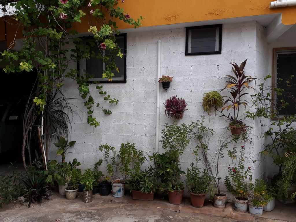 Casa Azul Leilighet Valladolid  Eksteriør bilde